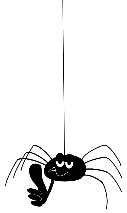 Spinne